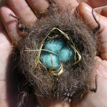Load image into Gallery viewer, Legend of the Christmas Nest Ornament