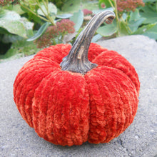 Load image into Gallery viewer, Marie Mayhew Designs Velvet Pumpkin kits, pumpkin color with real stem