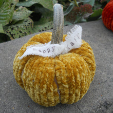 Load image into Gallery viewer, Marie Mayhew Designs Pumpkin patch velvet pumpkin kits, golden moss color