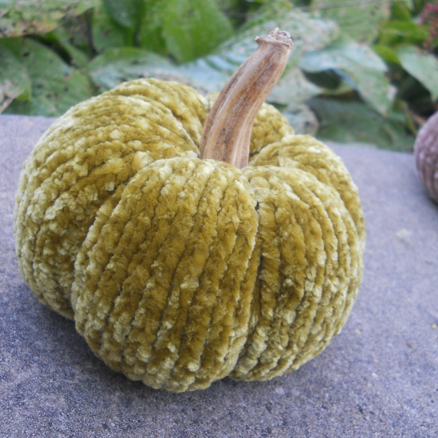 Marie Mayhew Designs, velvet pumpkin kit, olive color pumpkin with real stem