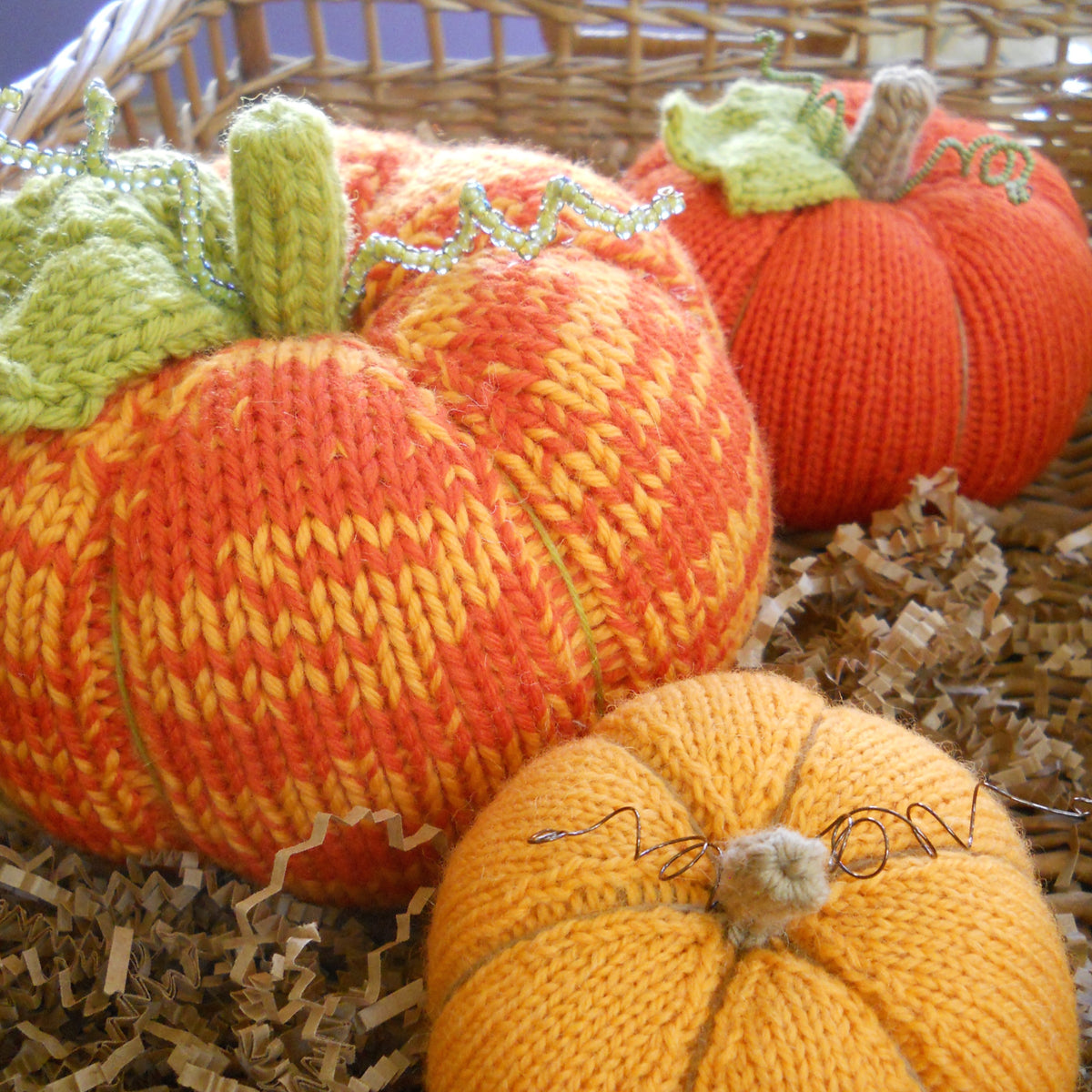 pumpkin patch knit-only patterns