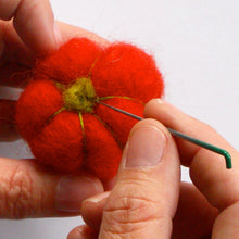 Load image into Gallery viewer, pumpkin needle felting kit complete with pattern