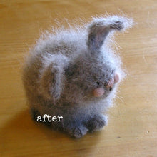 Load image into Gallery viewer, woolly bunny after being brushed with nap riser