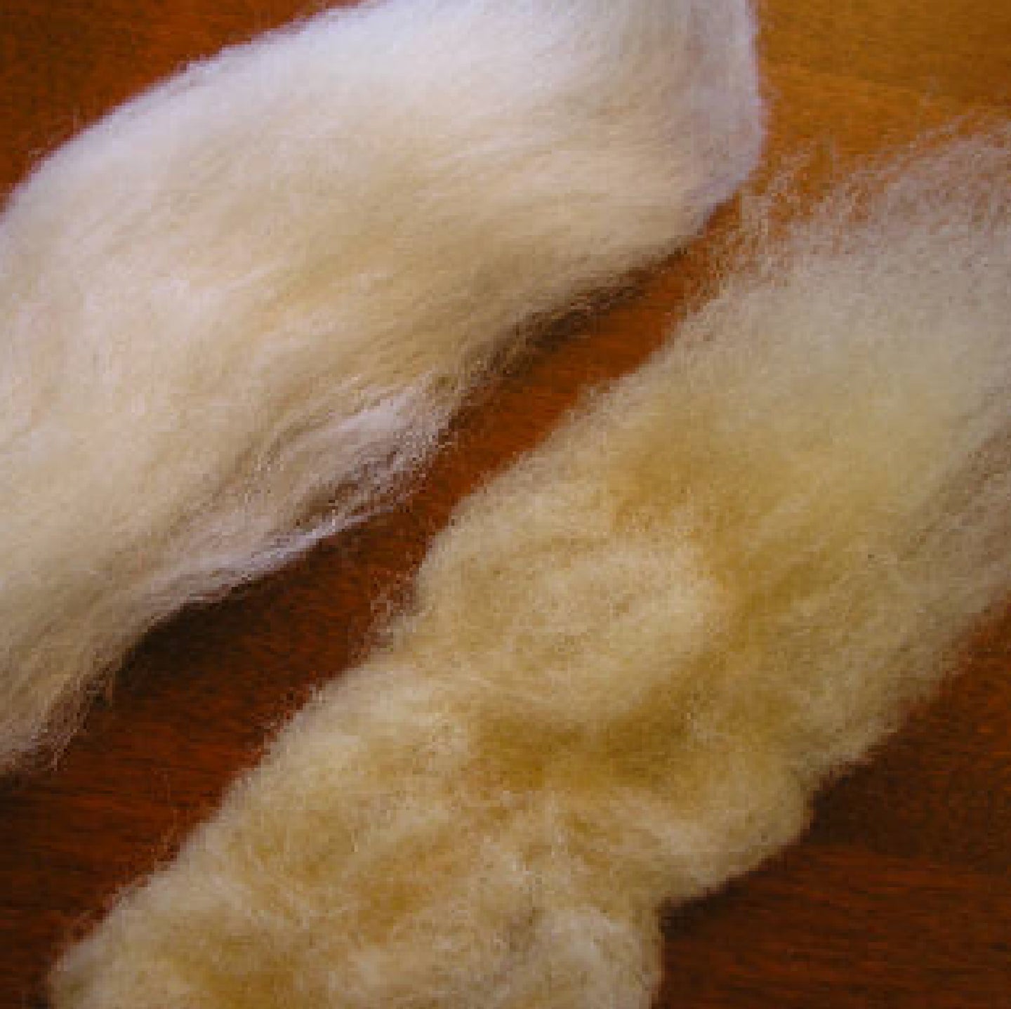 how to coffee dye wool roving for the woolly gnome's beard