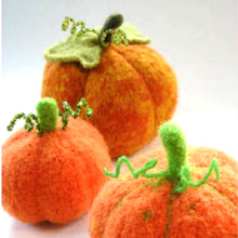 Load image into Gallery viewer, Marie Mayhew&#39;s Harvest Pumpkin pattern