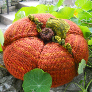 Pillow-Toss Pumpkin PDF