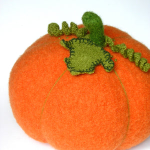 Woolly Pumpkin PDF